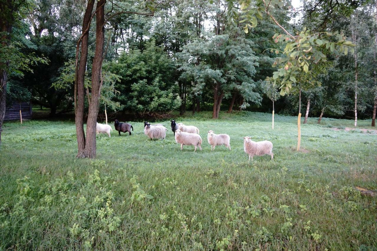 Ferien In Himmelpfort Dış mekan fotoğraf