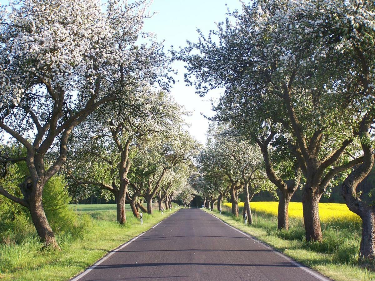 Ferien In Himmelpfort Dış mekan fotoğraf